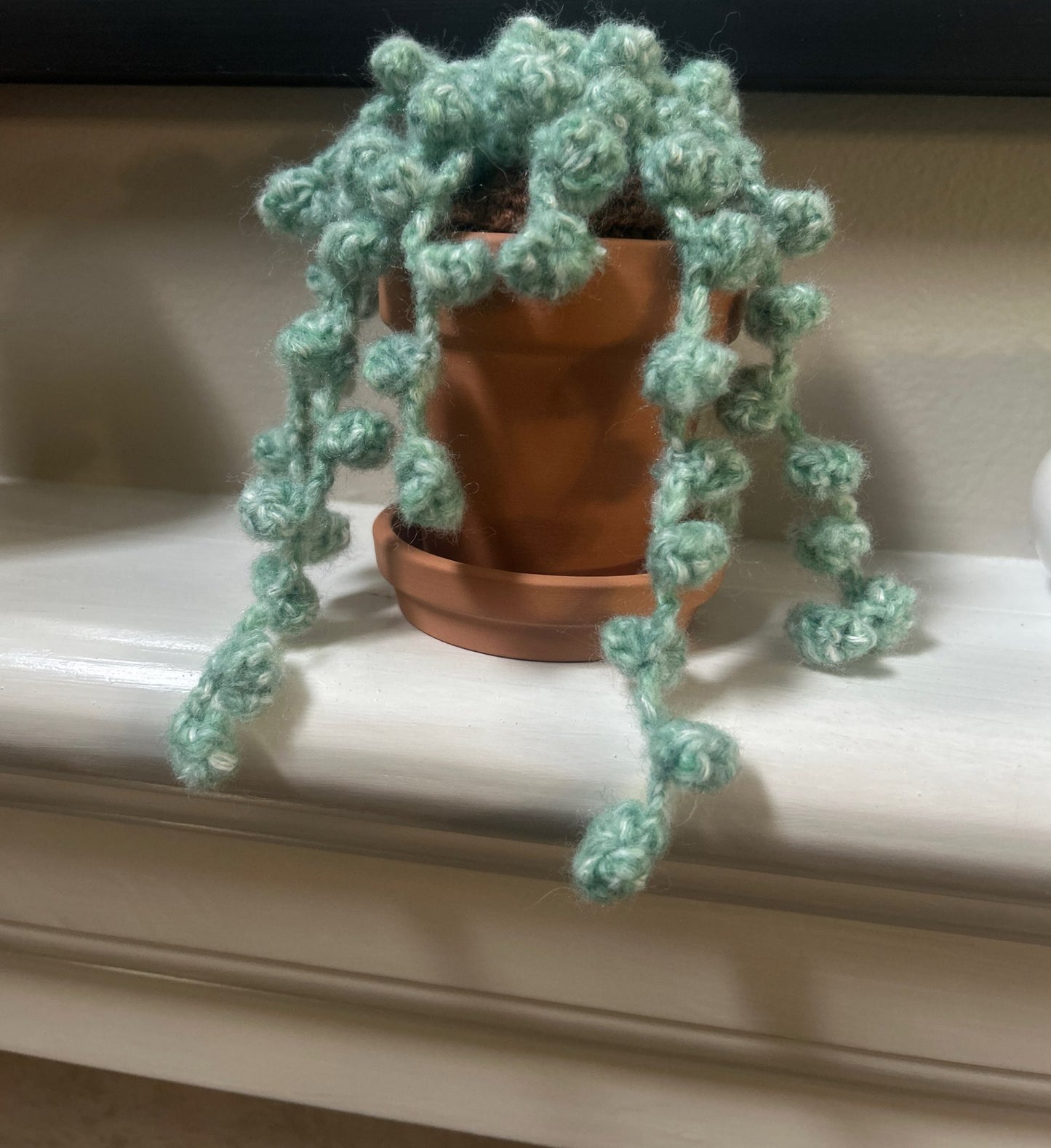 String of Pearls (Senecio Rowleyanus)