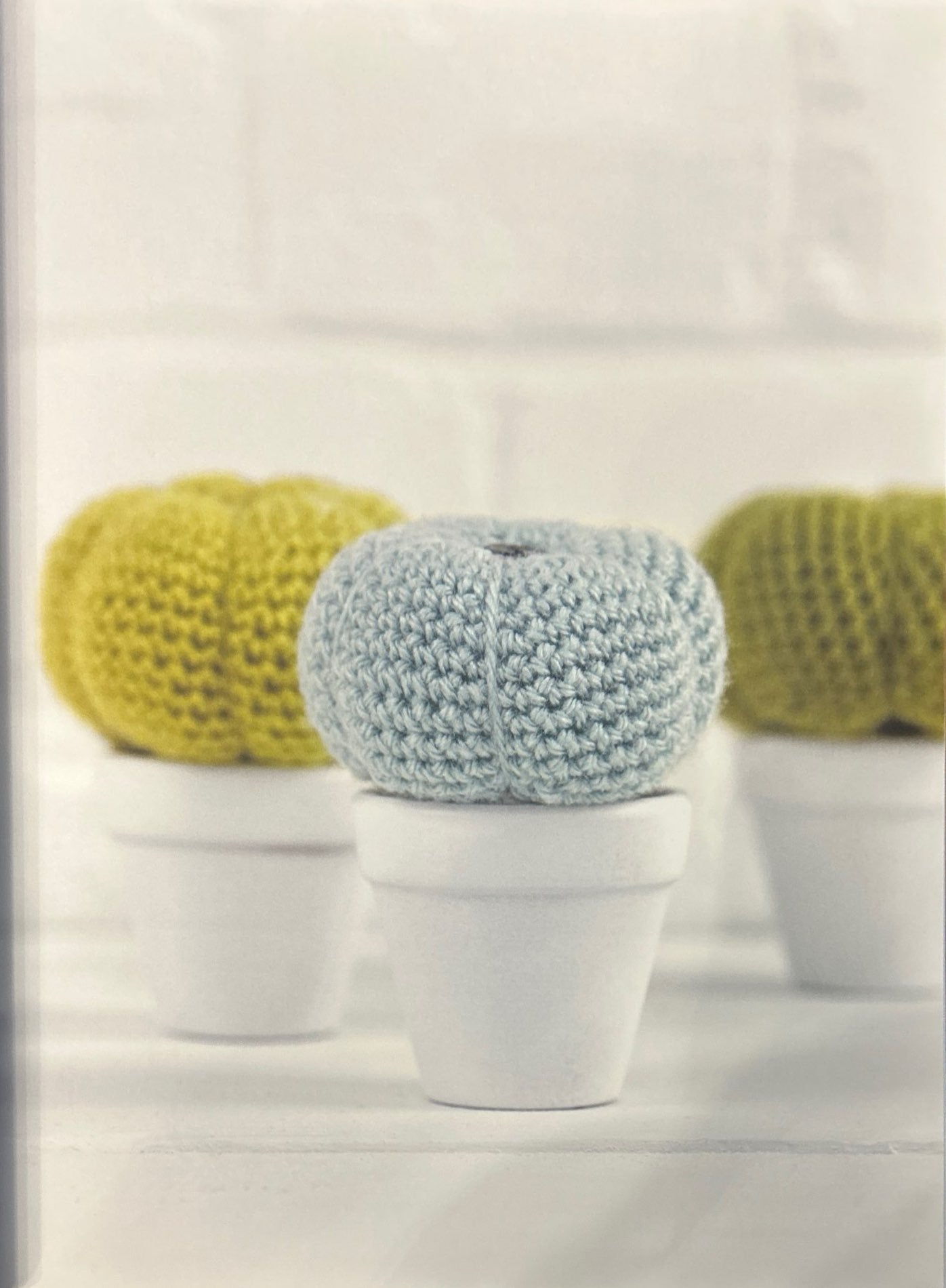 Baseball Plant (Euphorbia Obesa)