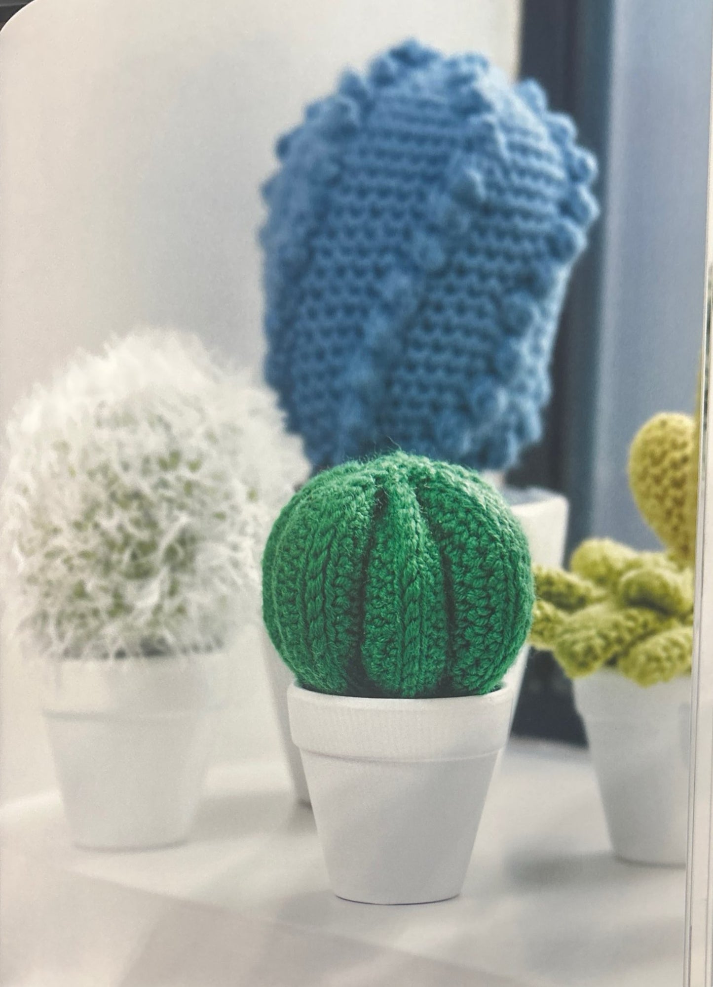 Bishop's Cap (Astrophytum Myriostigma)