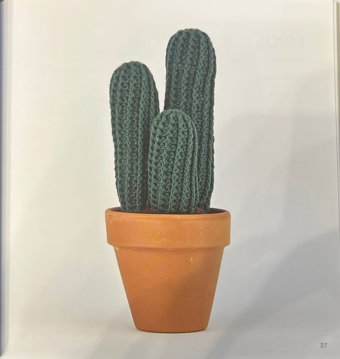 Blue Torch Cactus (Pilosocereus Glaucescens)