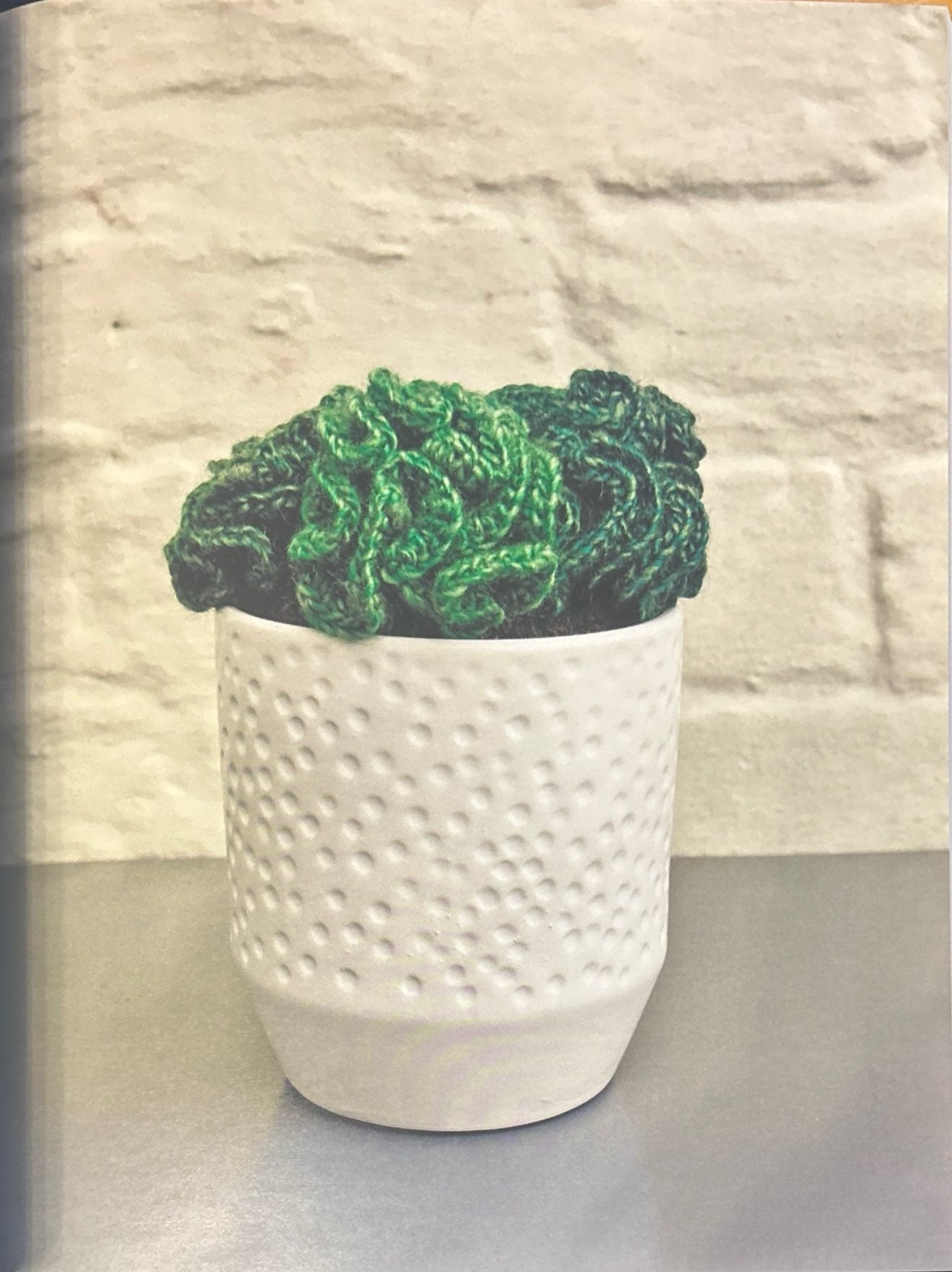 Curly Jade Plant (Crassula Ovata Undulata)