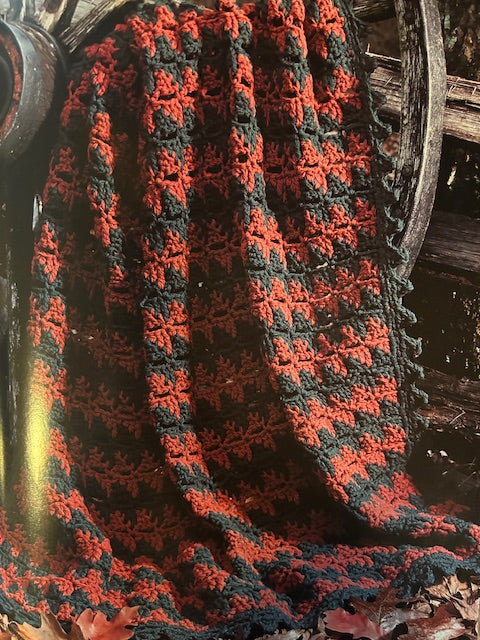 Evergreens in Autumn