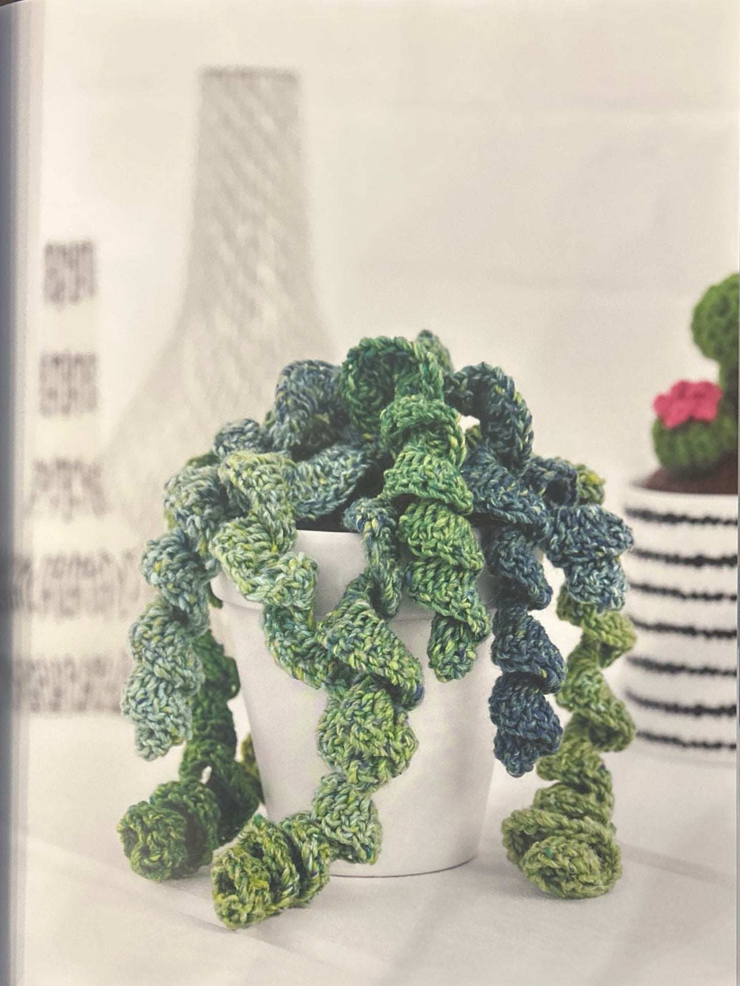 Jade Necklace (Crassula Rupestris)