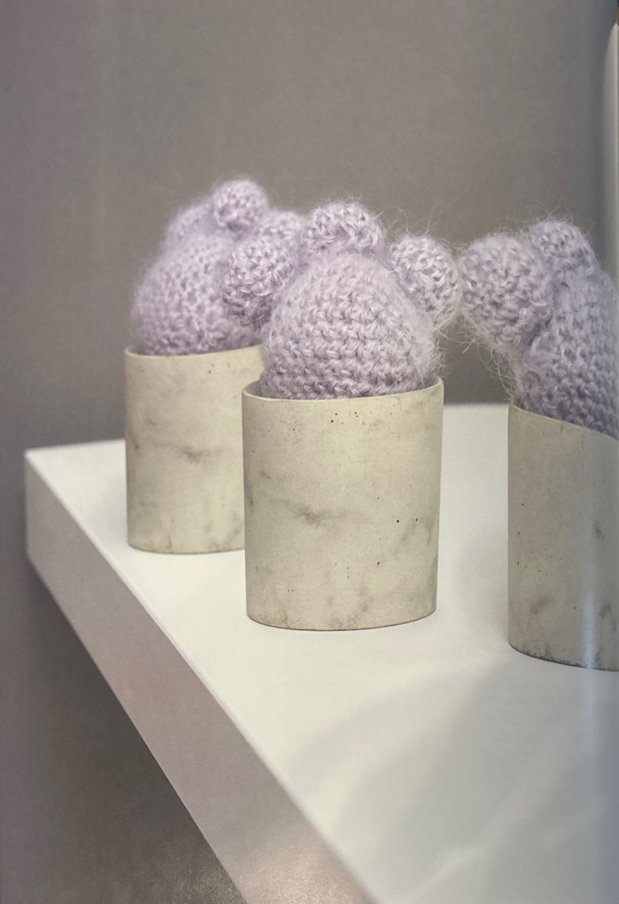 Little Mouse (Rebutia Muscula)