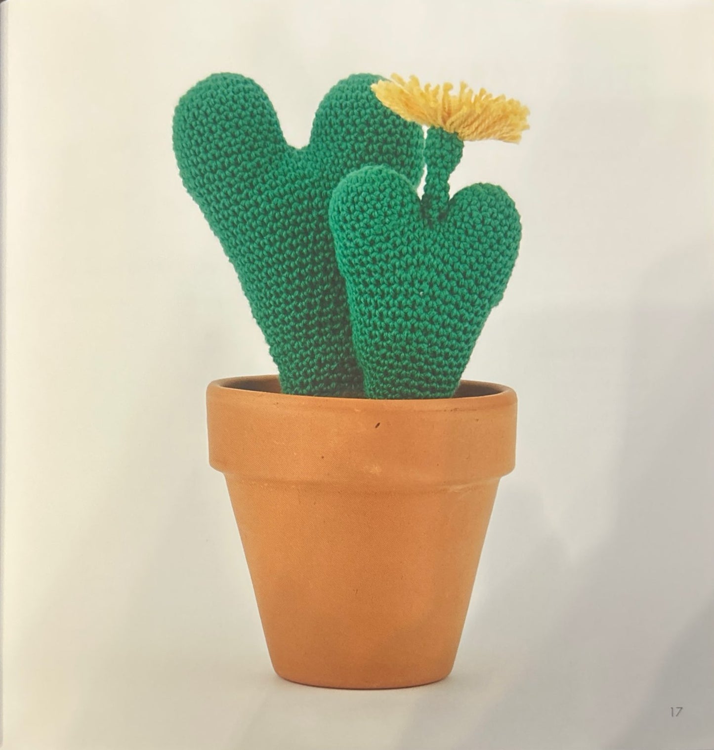 Living Pebble (Conophytum Bilobum)