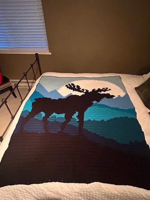 Moose on the Mountain