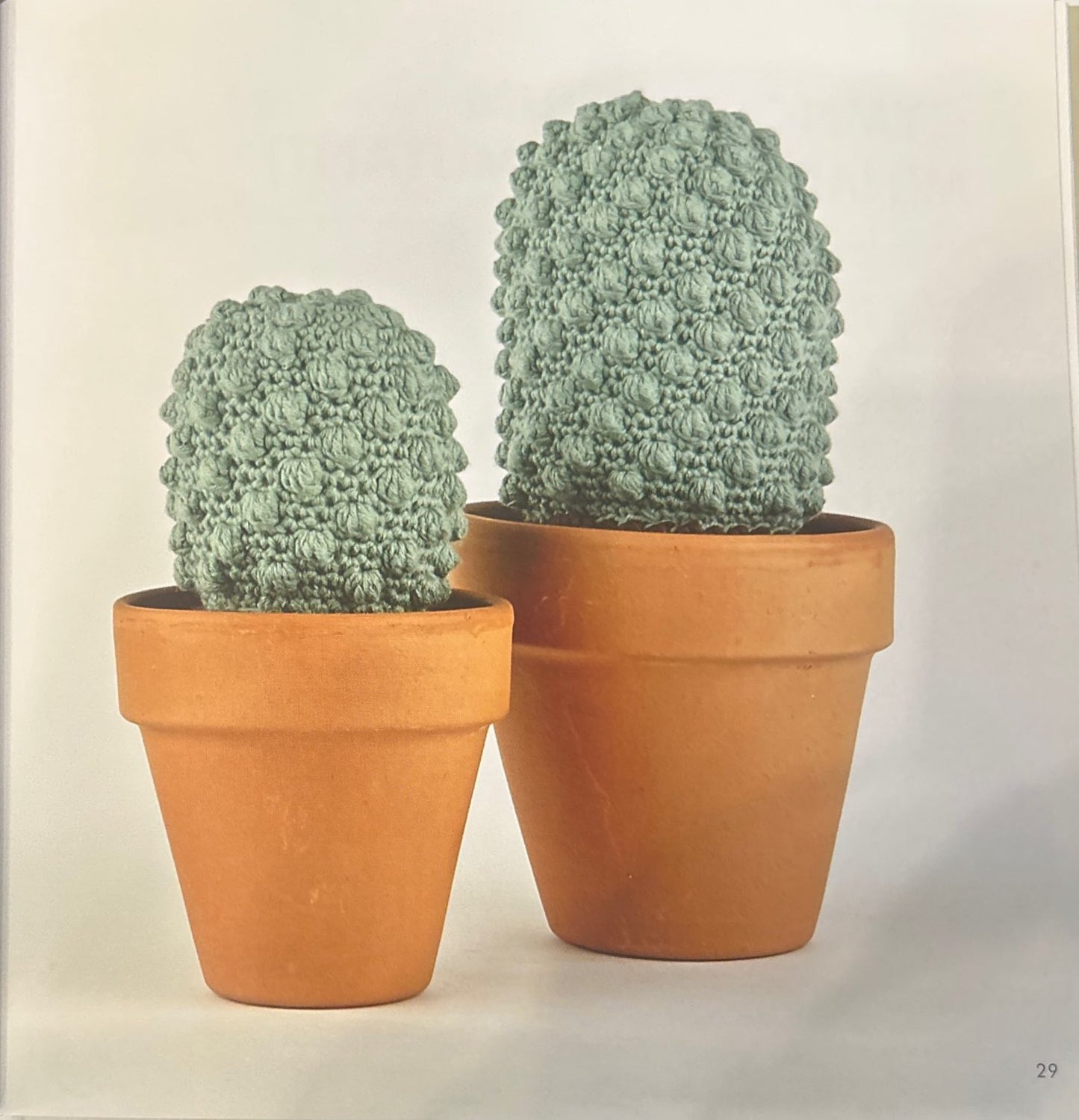 Napin (Eriosyce Napina)