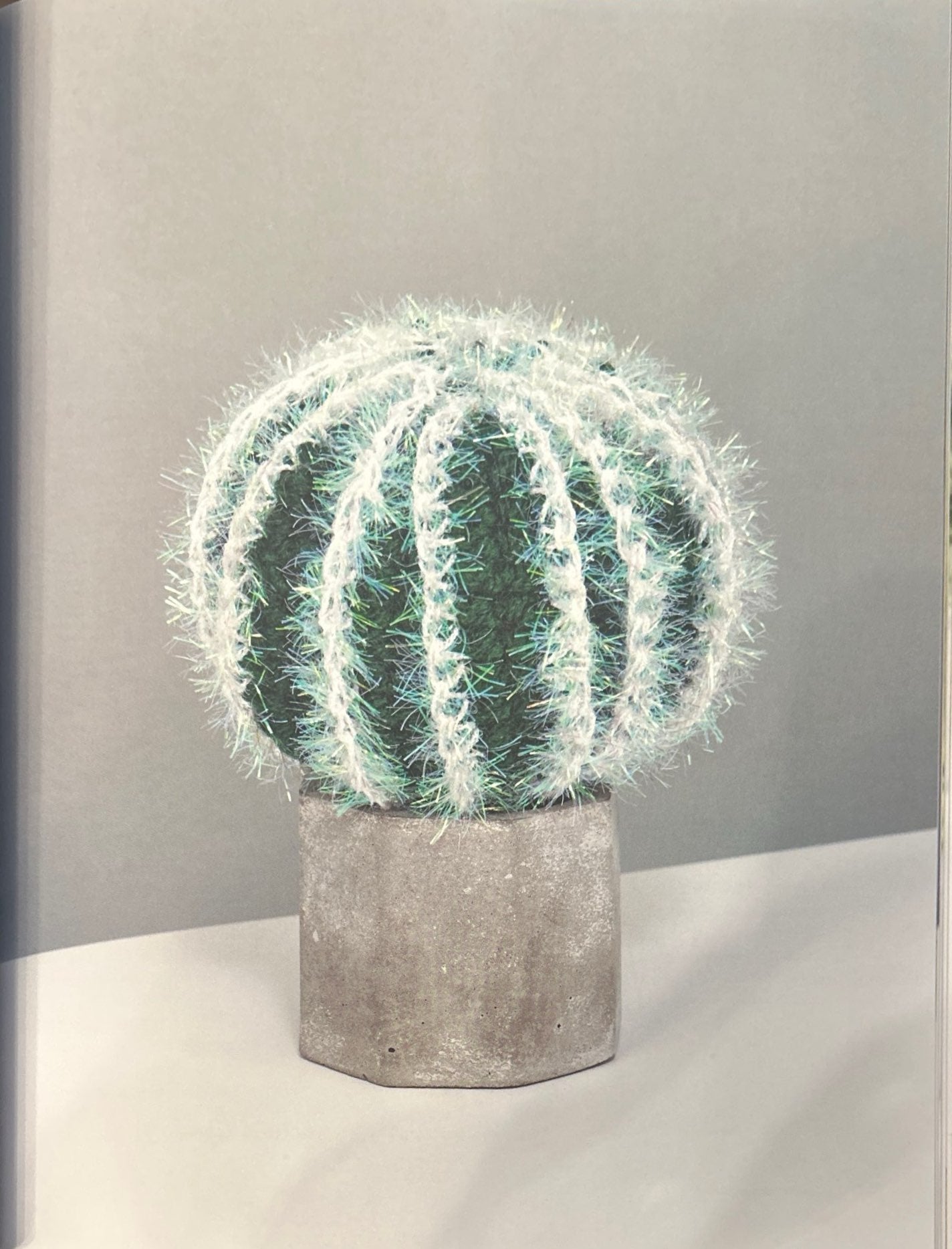 Notocactus (Parodia Warasli)