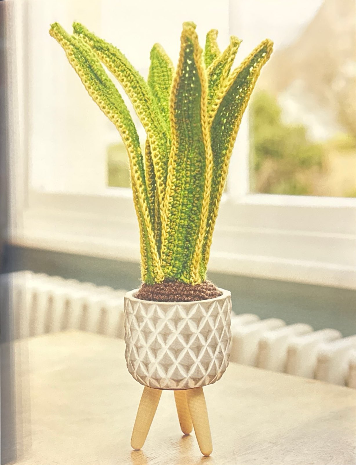 Snake Plant (Sansevieria Trifsciata)