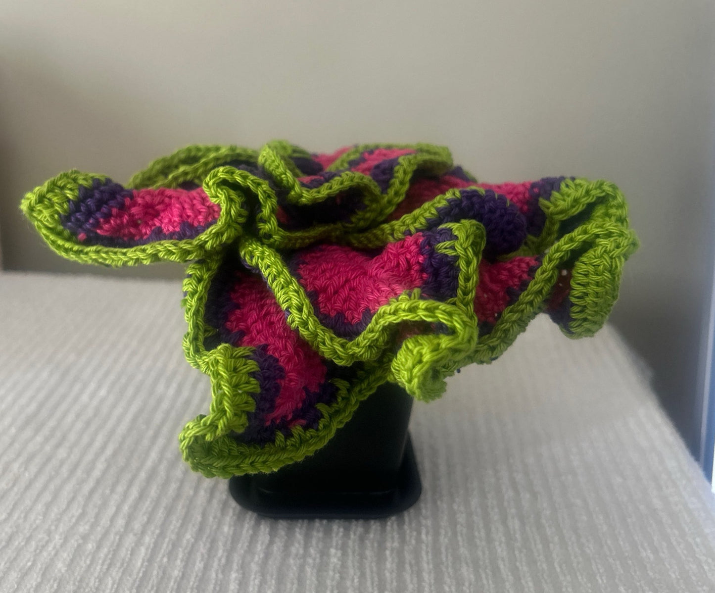 Coleus (Solenostemon)