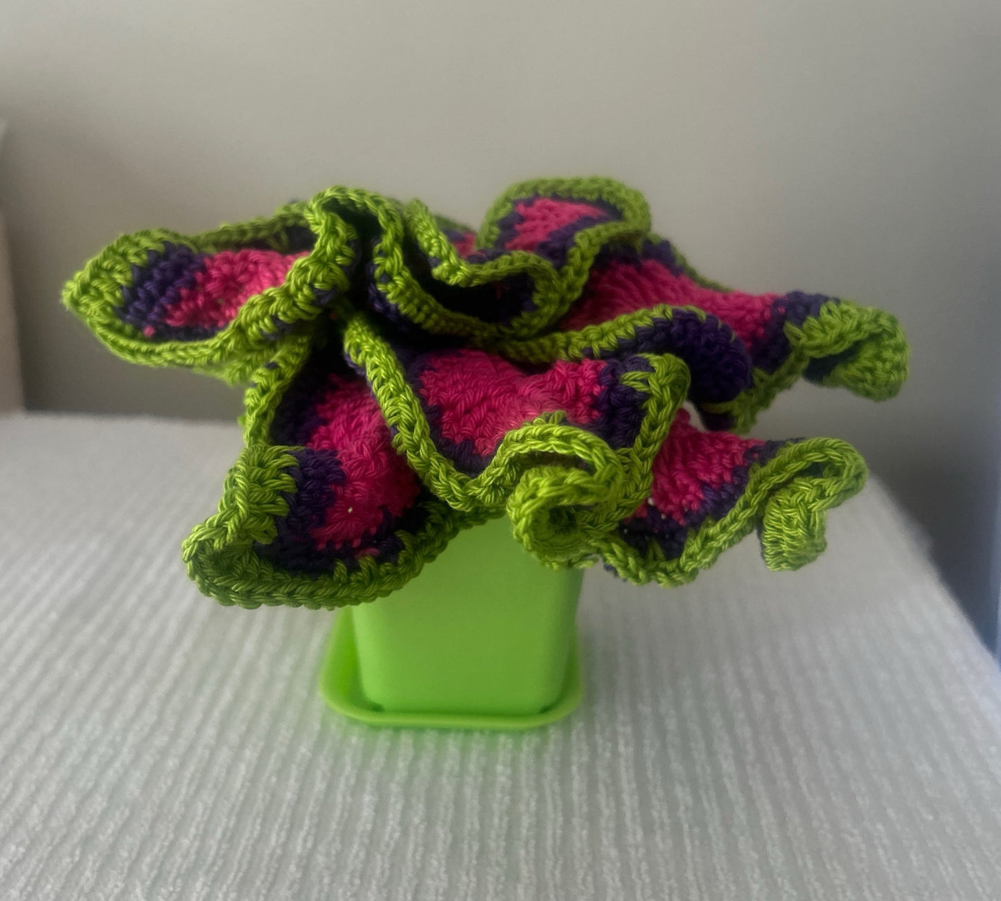 Coleus (Solenostemon)