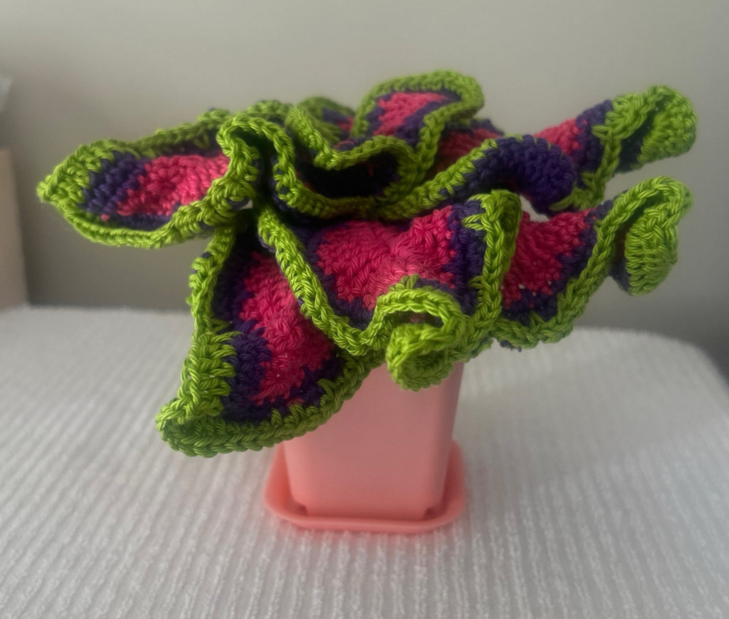 Coleus (Solenostemon)