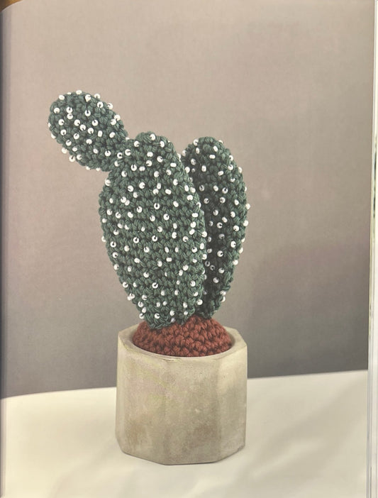 Bunny Ears Cactus (Opuntia Microdasys)