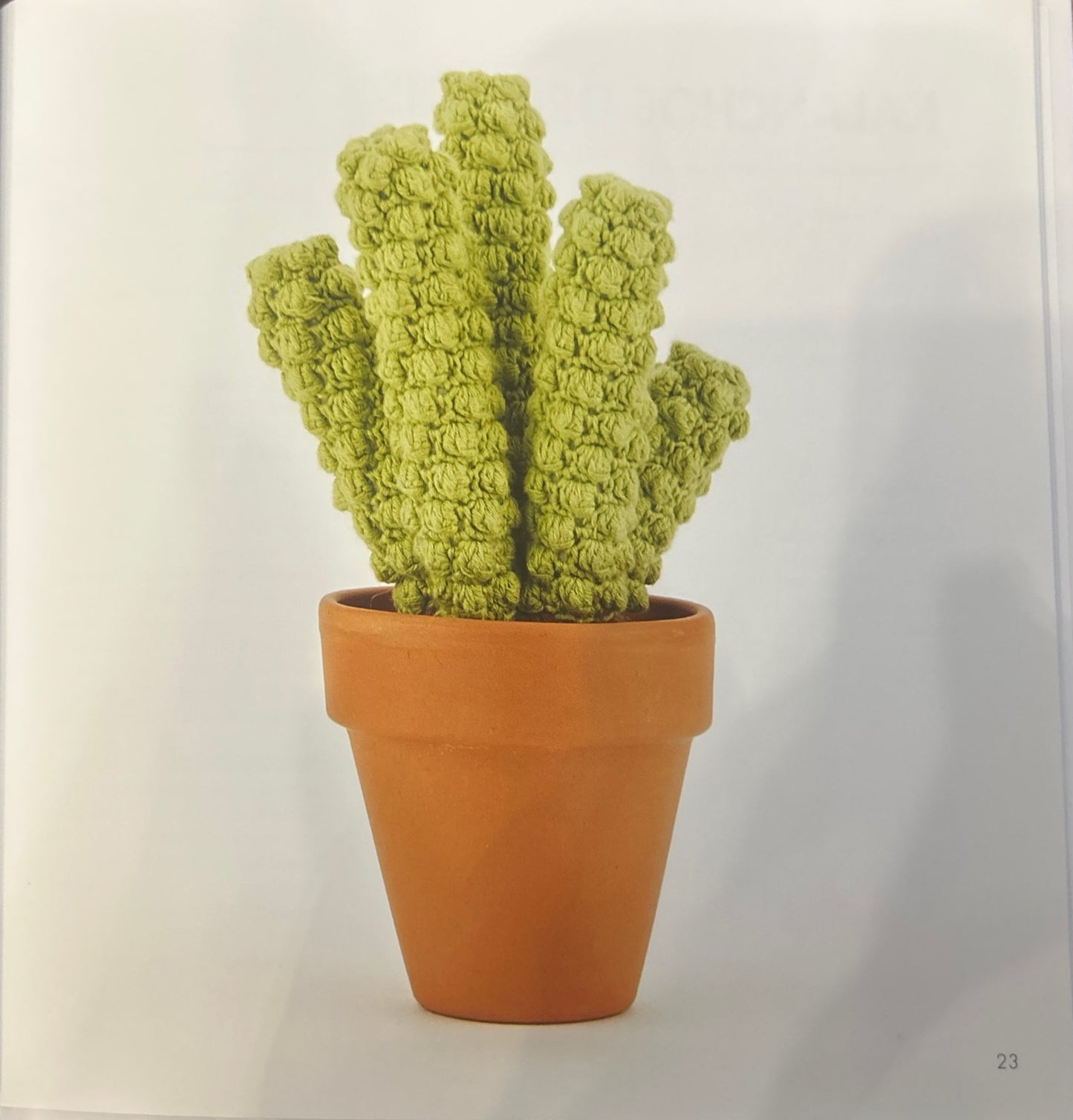 Chinese Pagoda (Crassula Marnieriana)