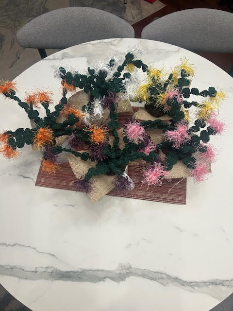 Holiday Cactus (Schlumbergera Truncata)