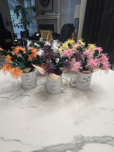 Holiday Cactus (Schlumbergera Truncata)