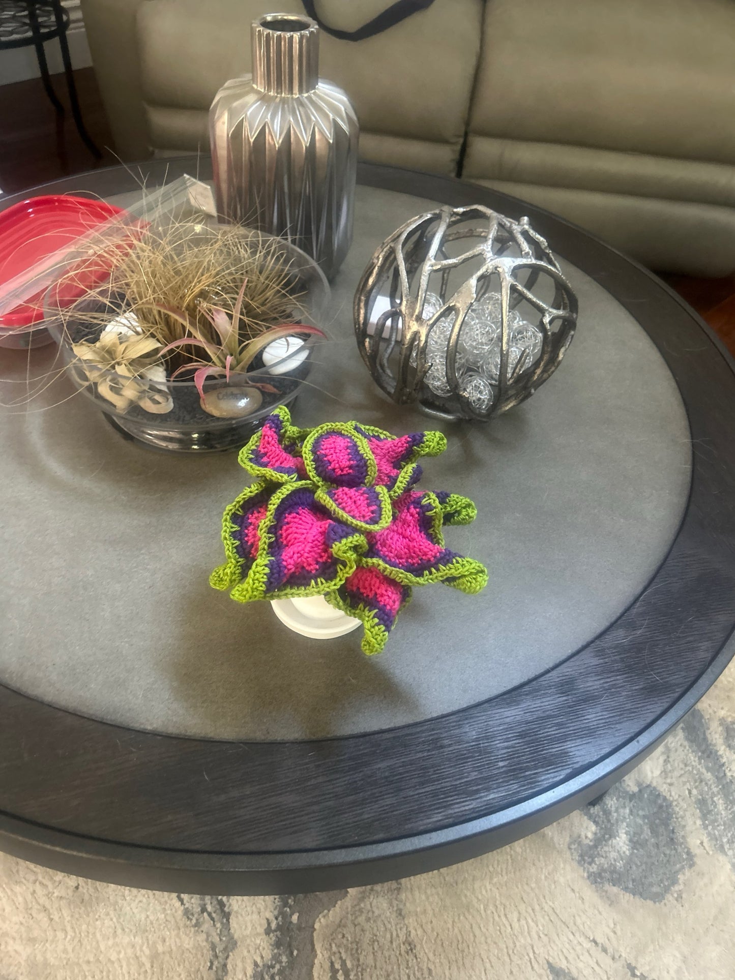 Coleus (Solenostemon)