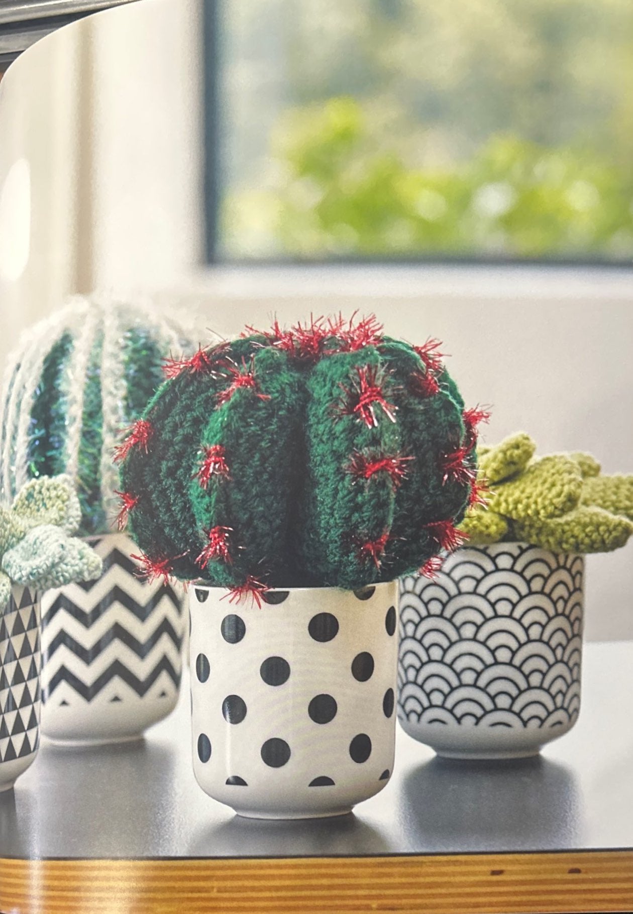 Devil's Tongue (Ferocactus Latispinus)