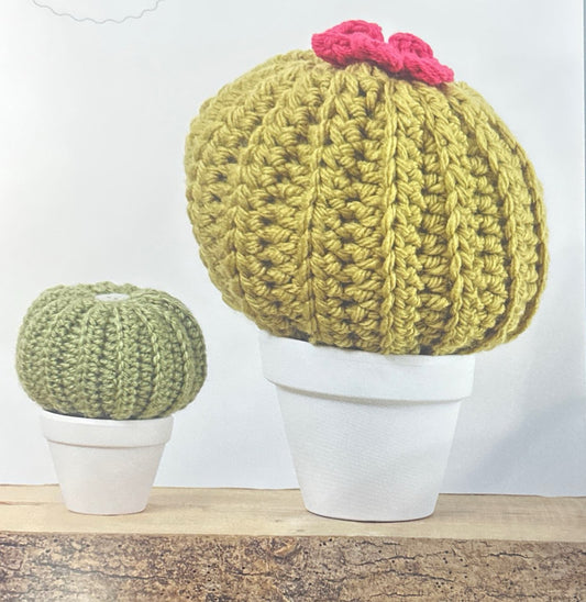 Golden Barrel (Echinocactus Grusonii)