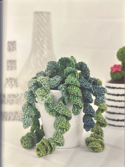 Jade Necklace (Crassula Rupestris)