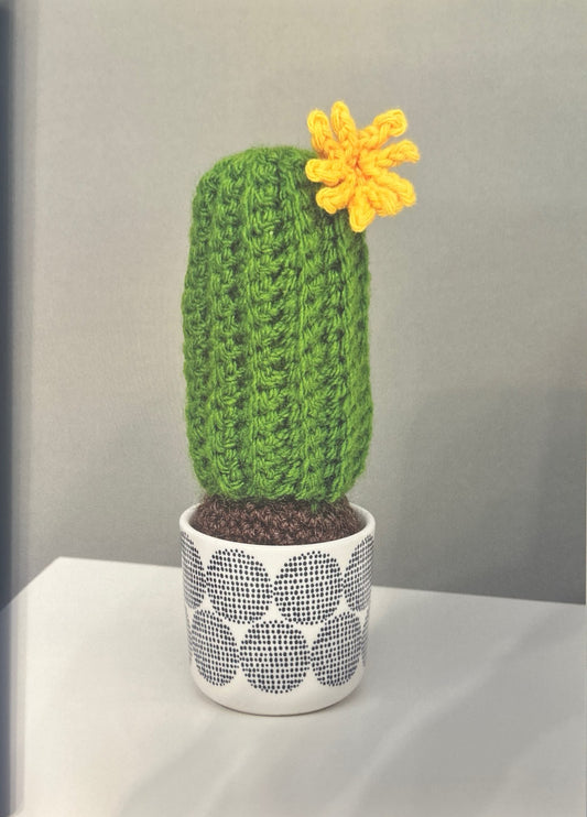 Mexican Giant Cardon (Pachycereus Pringle)