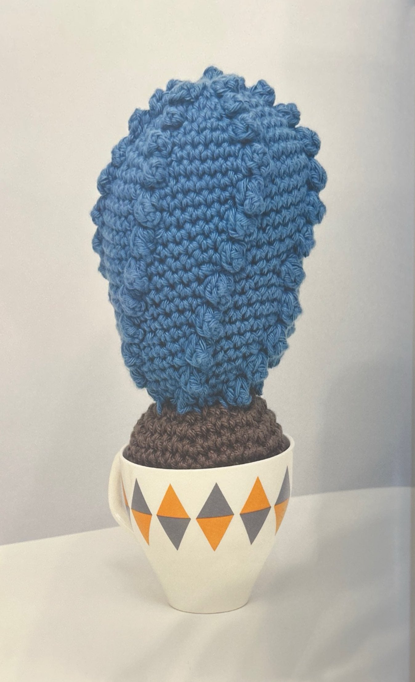 Peruvian Apple (Cereus Repandus)