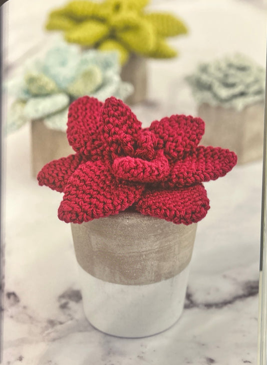 Romeo Wax Agave (Echeveria Agavoides "Romeo")