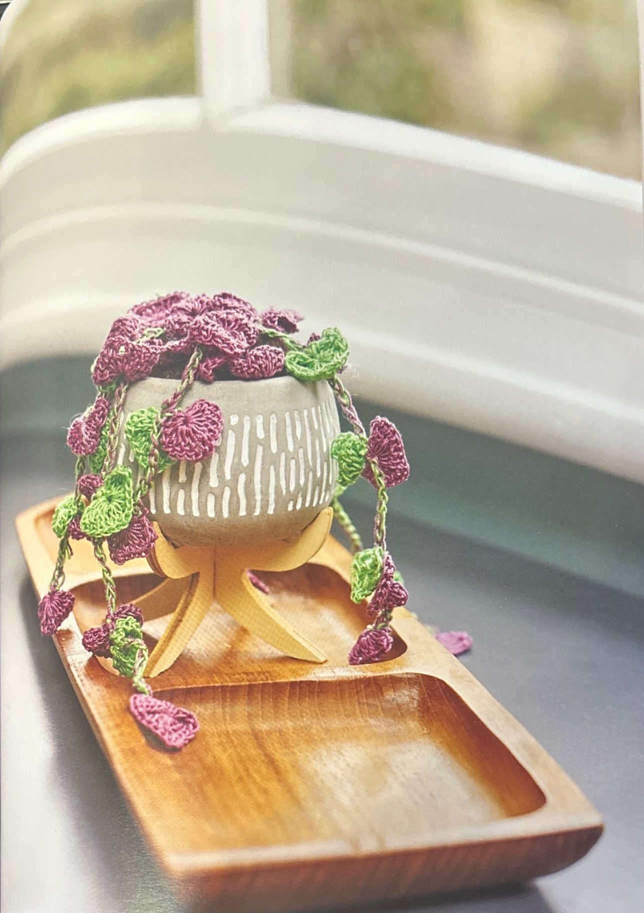 String of Hearts (Ceropegia Woodii)